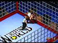Fire Pro Wrestling G Review-PSX
