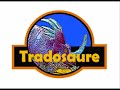 trading netgem.wmv