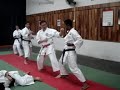 Bunkai Naihanchi Shodan Shorin-Ryu Shin Shu Kan