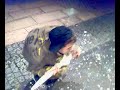 høyanger dverg med paraply høyanger dverg med paraply