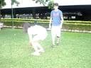videos de chute, haha