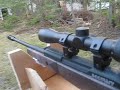 stand,wood,shotting