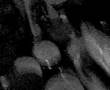 chocoloco rock blanco y negro en pleno extasis de chocolates