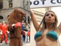 Bear vs. Bull on Wall Street!