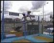 trampboarding