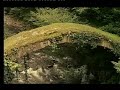 history.avi