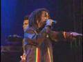 The Rootz Reggaementary