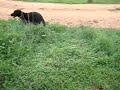 Running