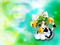 videos de Dj sharpnel - Flower Forever