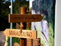A la descubierta del Lapedo