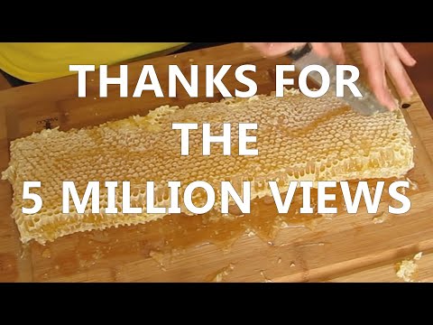 how to harvest honeycomb