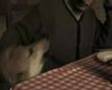 Czechoslovakian Wolfdog - Ciolìn e Luna