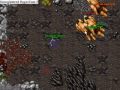Tibia-Player-Luring-
