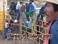 box chicocana 2013