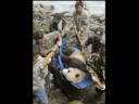 The Wolong Journey, Chapter Three The Wolong Journey, Chapter Three