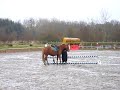 chute de cheval au concours interne