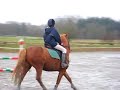 concours interne 2 chute