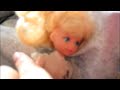 Winx doll show Tecna\ Winx doll show Tecna\