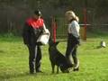 videos de Olaf Zoterhund, IPO-2 C-80