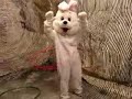 Hoop Bunny from Berlin...Hoopla