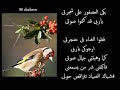 عصفور يبكى .flv