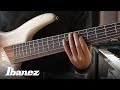 Ibanez ASHULA