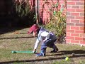 6: Playing in the backyard