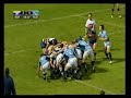 Northland Taniwha 2008