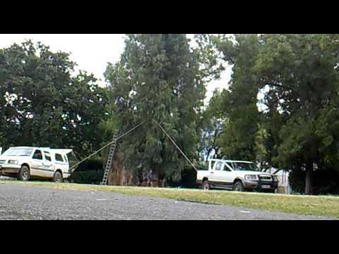 carsales gumtree carsales gumtree