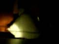 videos de the stupid ghost 3 (riding dirt)