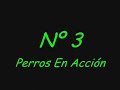 Chascarro Chascarro