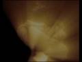 videos de Tangalanga Mecanico