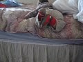 g2 jumps off the bed