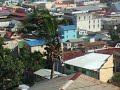 Jumbee cuts coconut tree