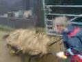 videos de jev burrow race