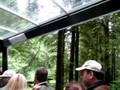 Glacier Gardens Rainforest Adventure, Juneau, AK