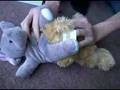 Soft toy porn: Refridgerator [sic] Repair Man