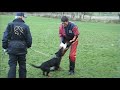 Rottweiler Rottweiler