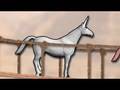 Charlie the unicorn