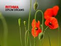 Rithma - Opium Dreams [chill]