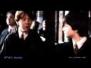 if i never knew you ron and hermonie story