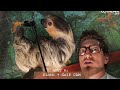 Snoop Dogg Loves Puppies (Live on the Internet Song)