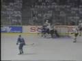 Toronto Maple Leafs Vancouver Canucks Brawl