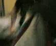 Correggio 2