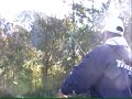 Drop-shotting for Roach or Perch Drop-shotting for Roach or Perch