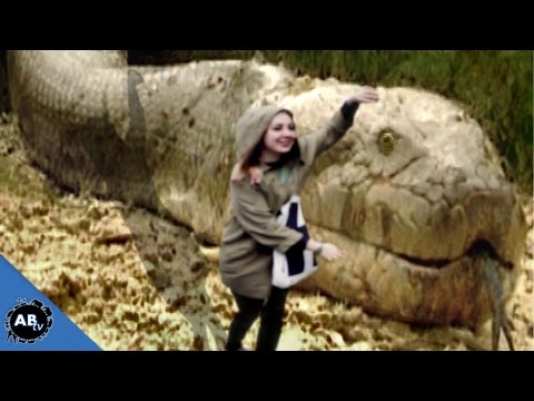 YouTube reptile video