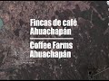 Fincas de caf