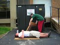 BR Bed of Nails