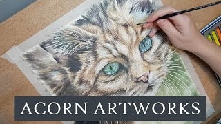 Part 2 - Nose, Whiskers and Fur (Deconstructed Painting of a Cat)