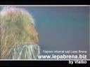 Lepa Brena - Golube - www.lepabrena.biz